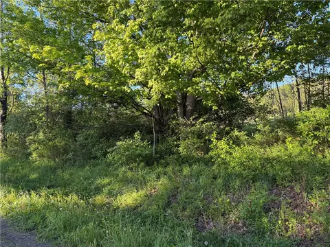 0 County Highway 4, Butternuts, NY 13776