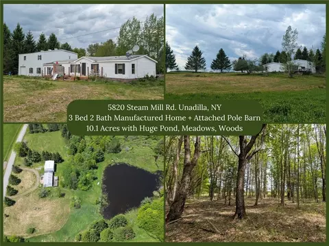 5820 Steam Mill Rd, Unadilla, NY 13849