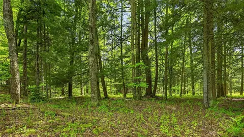 L1.6 Crystal Brook Path, Jefferson, NY 12093