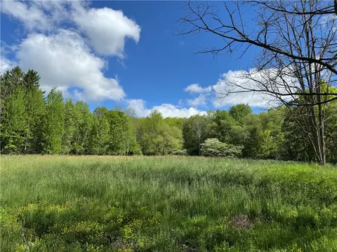 1104 Downey Rd, Otego, NY 13825