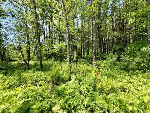 0 Maples Rd, Hartwick, NY 13348 photo 2