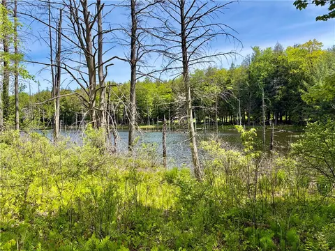 0 Maples Rd, Hartwick, NY 13348 photo 7