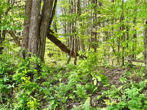0 Maples Rd, Hartwick, NY 13348 photo 6