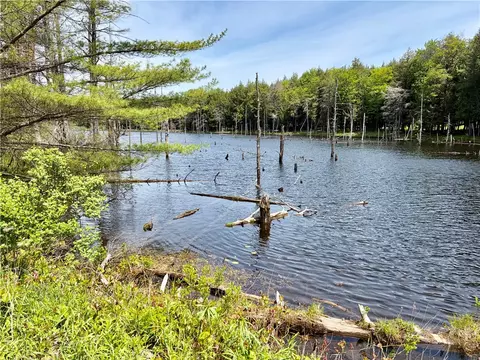 0 Maples Rd, Hartwick, NY 13348