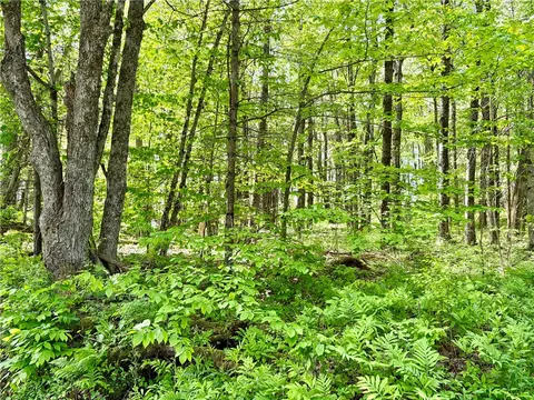 0 Maples Rd, Hartwick, NY 13348 photo 4