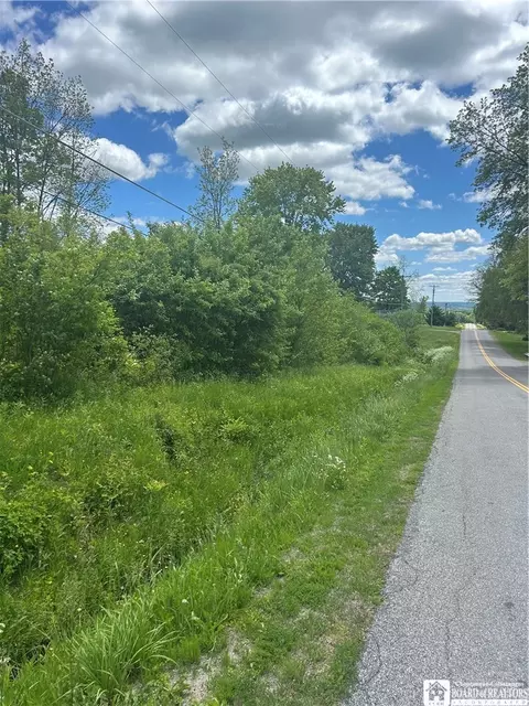 Belleview Road E, Ellery, NY 14712