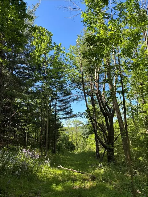 0 Cr-8, Montour, NY 14865