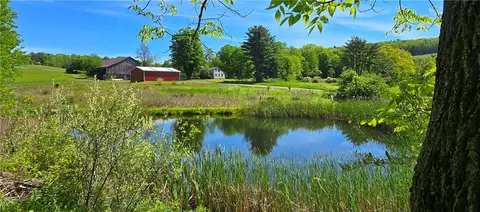 324 Murphy Hill Rd, Catlin, NY 14902