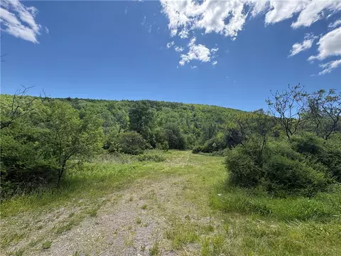 5386 County Route 11, Thurston, NY 14810 photo 7