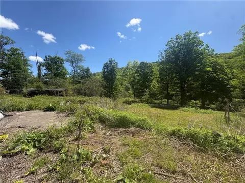 5386 County Route 11, Thurston, NY 14810 photo 3