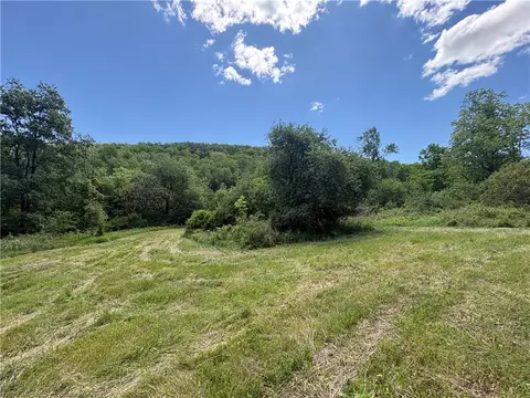 5386 County Route 11, Thurston, NY 14810 photo 11
