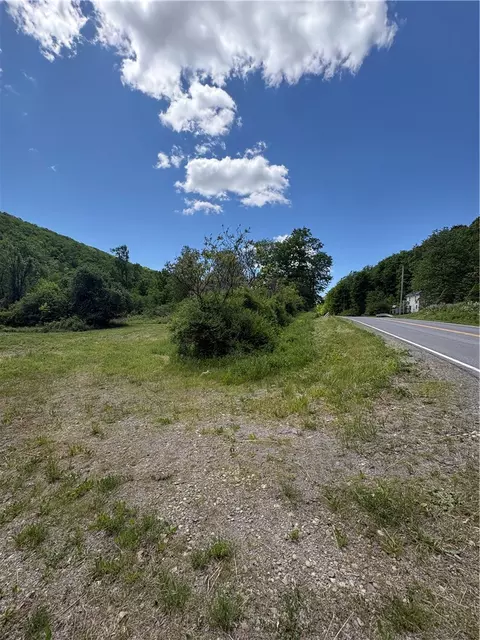 5386 County Route 11, Thurston, NY 14810 photo 9