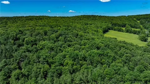 Lower Ravine Road, Norwich, NY 13815