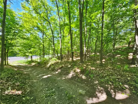 613 E Lake Rd - Rt 54 Rd, Milo, NY 14527