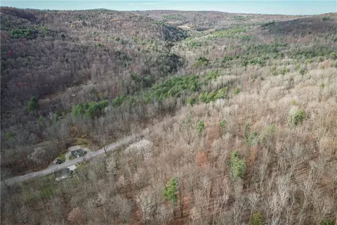 1188 Braybrook Rd, Chemung, NY 14825