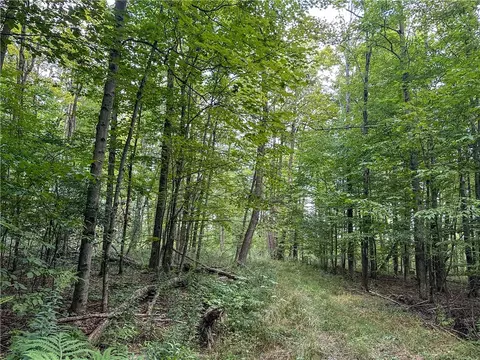 8190 Billing Dr, Birdsall, NY 14804