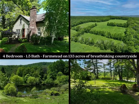 3090 County Highway 4, Butternuts, NY 13843
