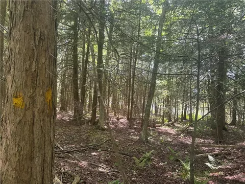 County Rd 42, Pharsalia, NY 13758