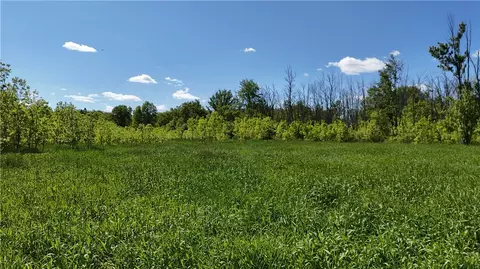 Dredge Ditch Road, Ellington, NY 14726