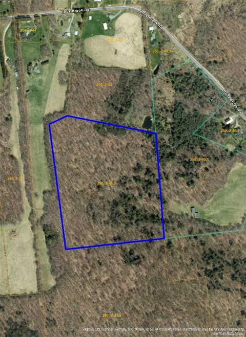 730 Bobs Brook Rd, Walton, NY 13856