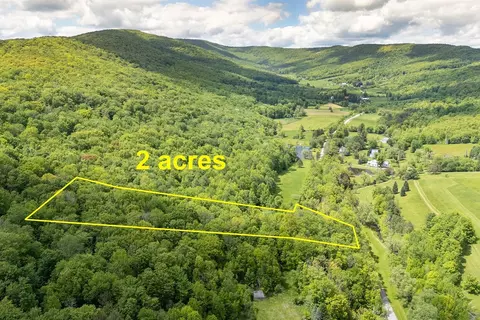 1361 Weaver Hollow Rd, Andes, NY 13731