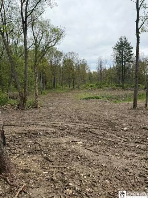 4371 Lawson Rd, Busti, NY 14701