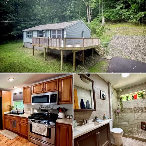 23 Pearl St, Oneonta, NY 13820