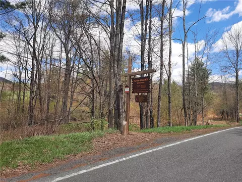 Exterior - 295 Tumbleweed Ranch Rd, Lexington, NY 12452 photo 13 of 15