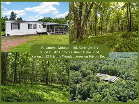 201 Sunrise Mountain Rd, Kortright, NY 13739
