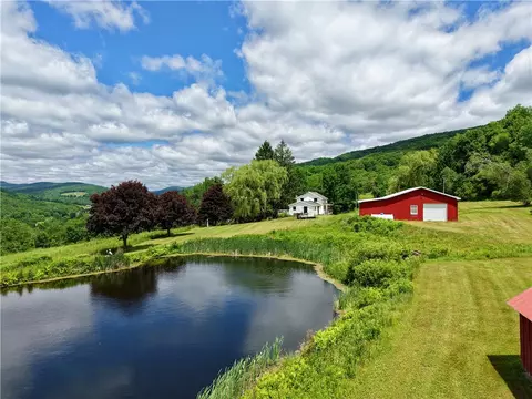 240 Dowie Rd, Andes, NY 13731