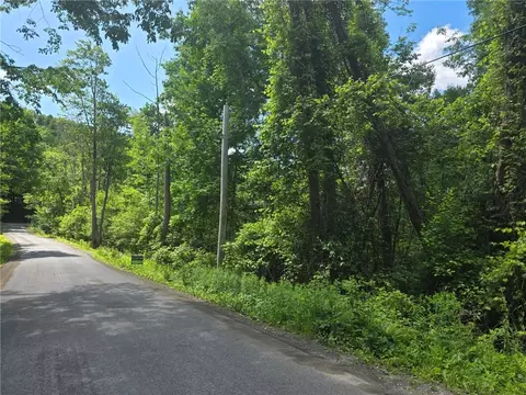 Lippitt Development Road, Middlefield, NY 13326