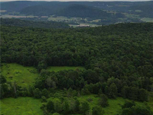 lot2 Oregon Rd, Butternuts, NY 13776
