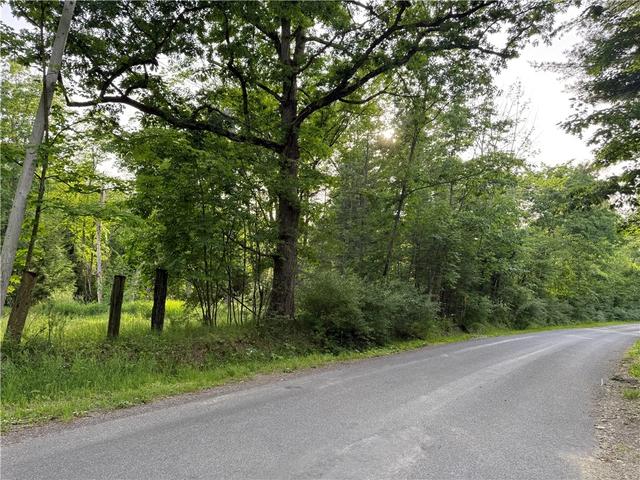 Cronk Hill Road, Caneadea, NY 14735
