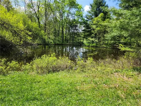 Houck Road, Masonville, NY 13804