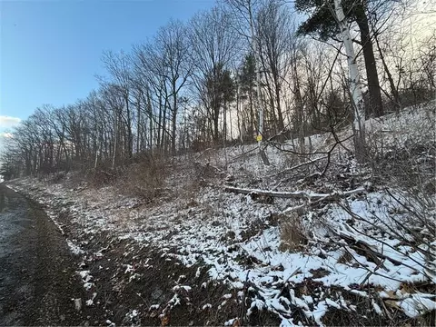 Obrien Road N, Bath, NY 14879 photo 2