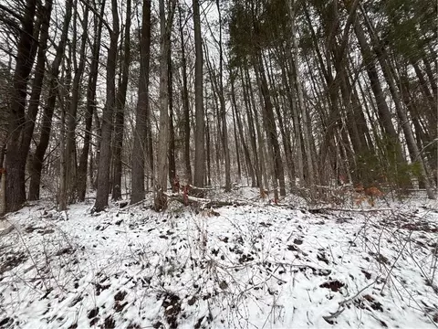 Obrien Road N, Bath, NY 14879 photo 4