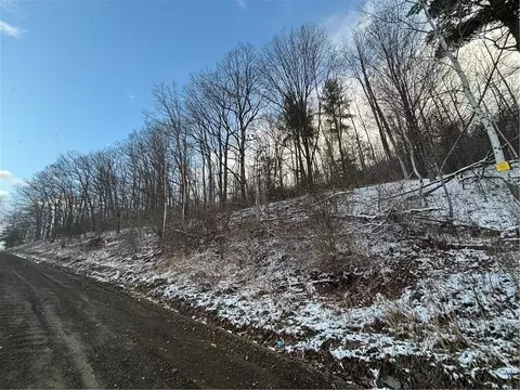 Obrien Road N, Bath, NY 14879 photo 3