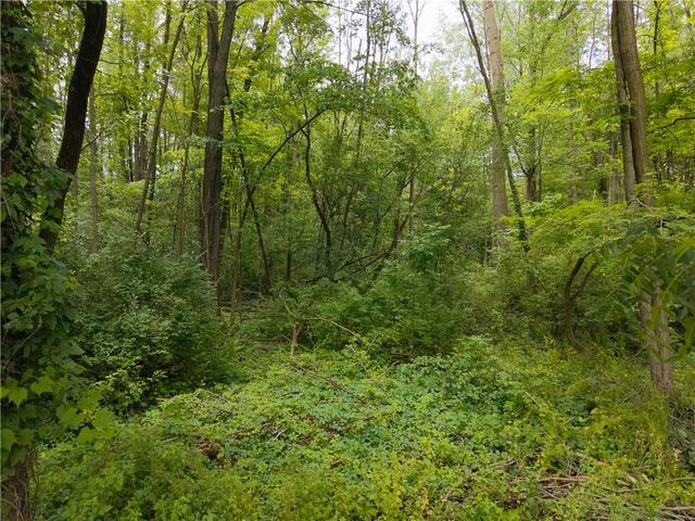 Butler Avenue, Seneca Falls, NY 13148