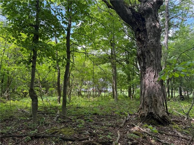 Vl Reed Road, West Sparta, NY 14437