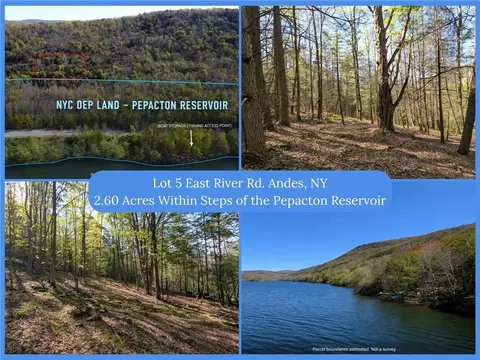 lot5 E River Rd, Andes, NY 13731