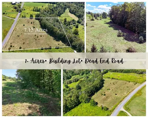100 Pomeroy Rd, Franklin, NY 13775