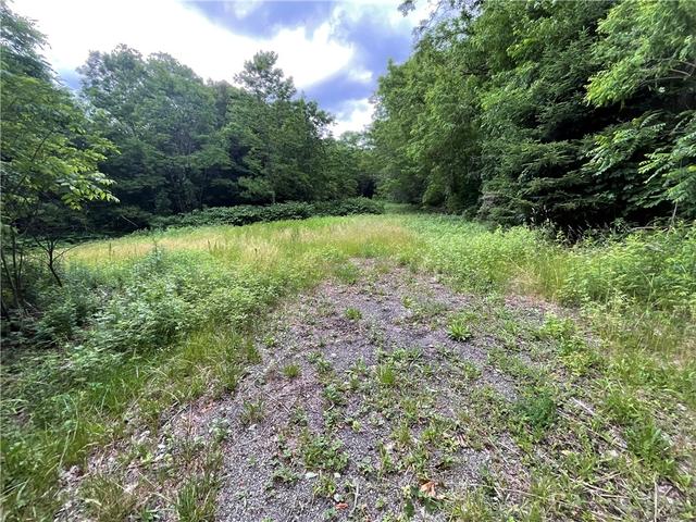 7537 East Ave, Springwater, NY 14560