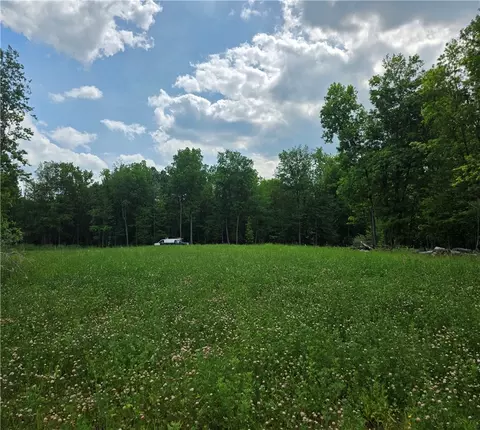 6221 Cleary Rd, Livonia, NY 14487