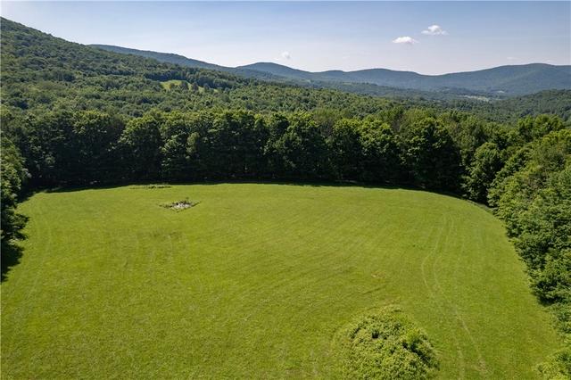 lot43 Tower Mountain Rd, Stamford, NY 12167