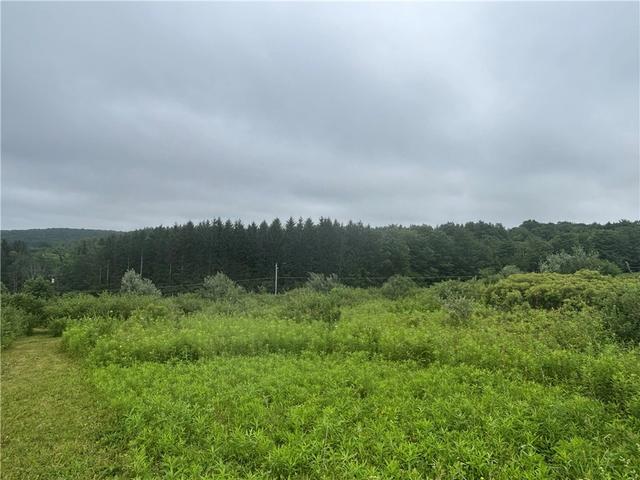 lot1 County Route 46, Dansville, NY 14437