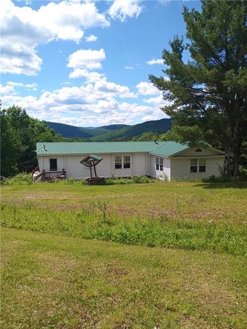 4323 Gregory Hollow Rd, Hamden, NY 13782