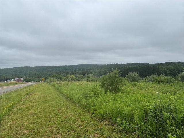 Vl Lot 2 County Route 46, Dansville, NY 14437