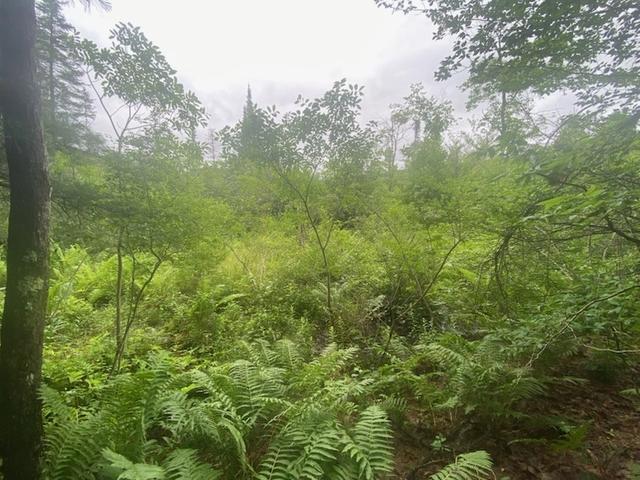 Marsh Road, Caton, NY 14858