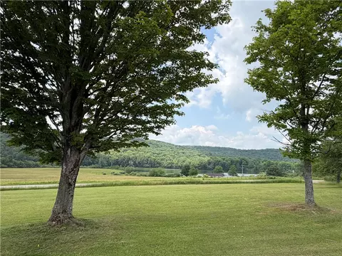 Vl Lyndon Abbott Road, Franklinville, NY 14737