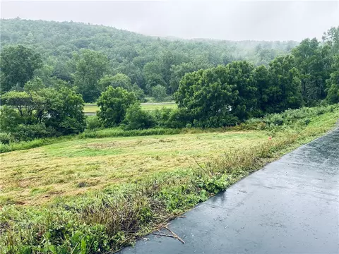 4947 County Route 70a, Bath, NY 14810 photo 24